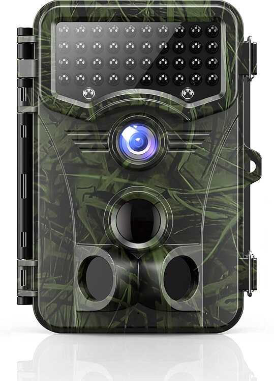 Trail Cameras for Security: A Complete Guide