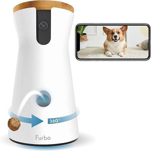 Pawsome View: Keeping an Eye on Your Pet with a Pet Camera