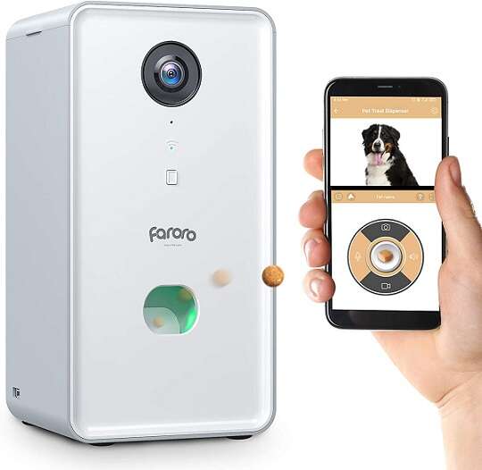 Pawsome View: Keeping an Eye on Your Pet with a Pet Camera