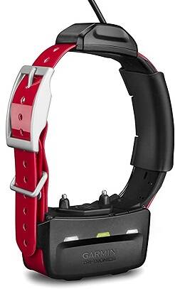 Best GPS Dog Collar 2024 SecurityBros   Garmin TT 15 Dog Device 