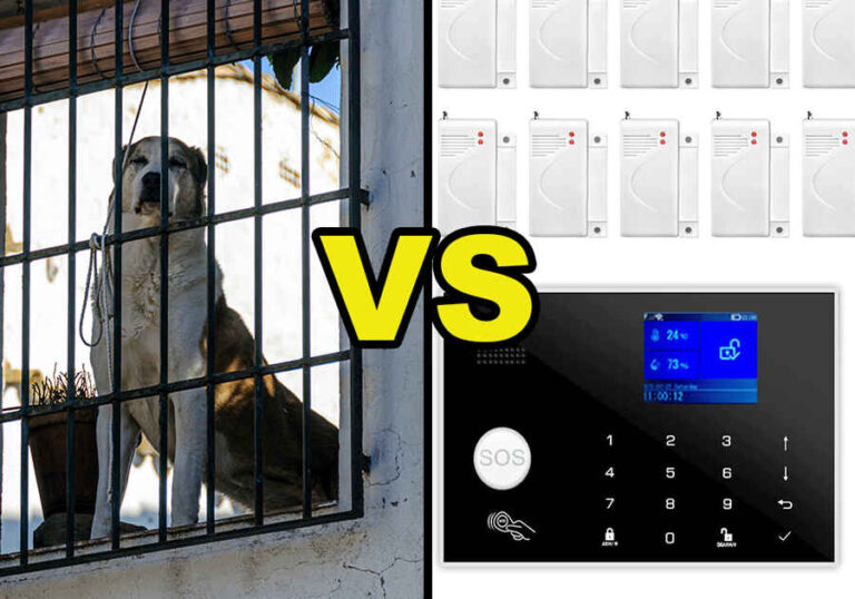 Guard Dog vs. Security System: Pros and Cons of Each Approach