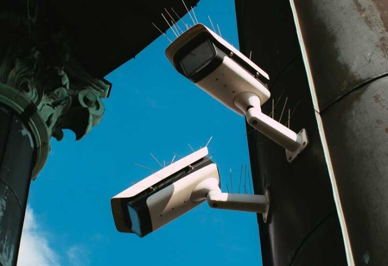 The Relationship between Crime Rates and Surveillance
